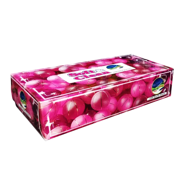 دستمال کاغذی " جعبه ای " سافت اند کلین - سایز 20.5 * 20 سانتی متر ( 100 برگ دولا )